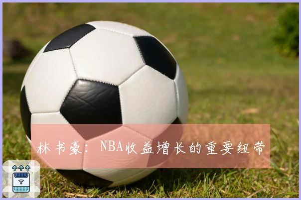 林书豪：NBA收益增长的重要纽带