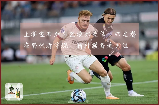 上港宣布加布里埃尔重伤，四名潜在替代者浮现，新外援备受关注